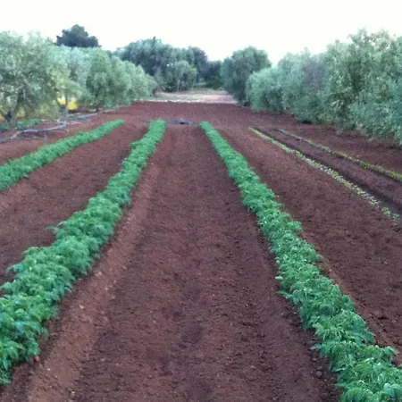 Le Dune Del Marchese